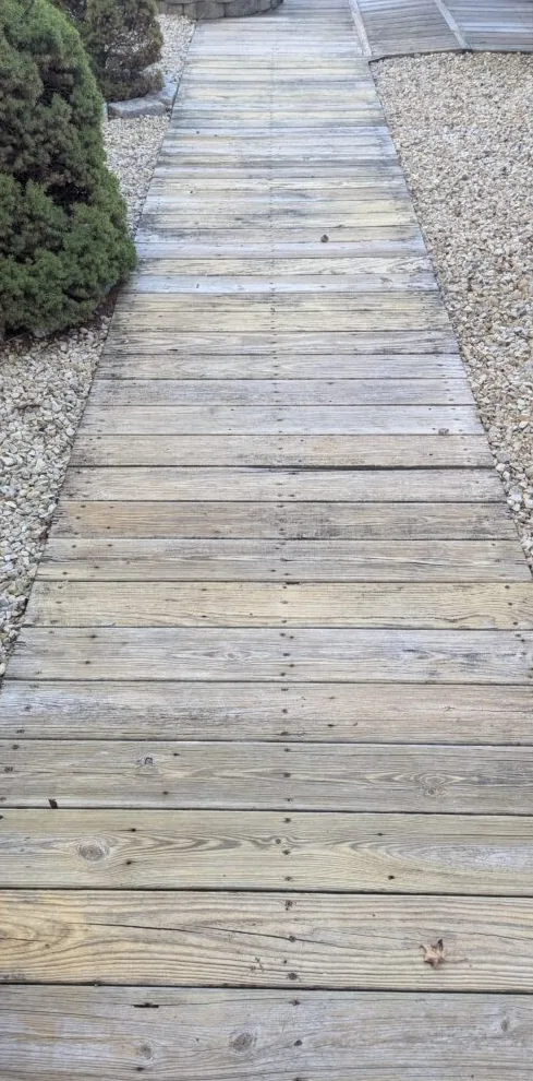 A concrete walkway after power washing, with the algae and dirt gone