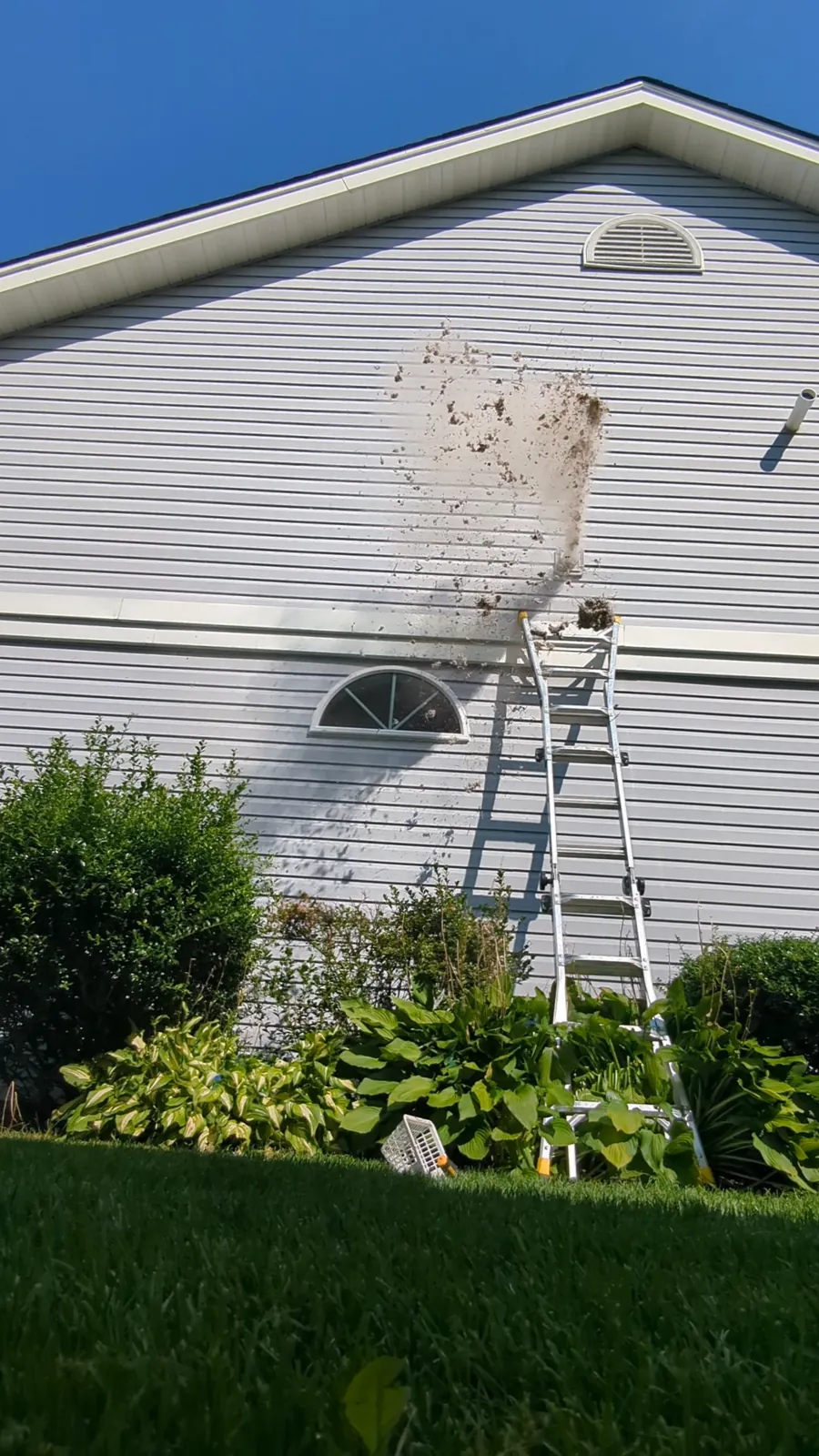 A ladder against the house and a cloud of lint coming out of the dryer vent