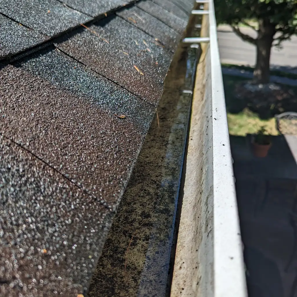 A gutter after cleaning, the pine needles cleared out