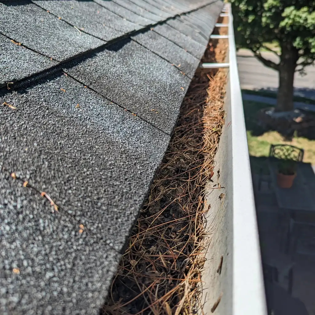 Before: A gutter before and after cleaning. The downspout was flushed until it ran clear.