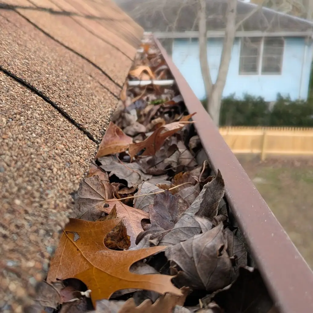 Gutter before cleaning