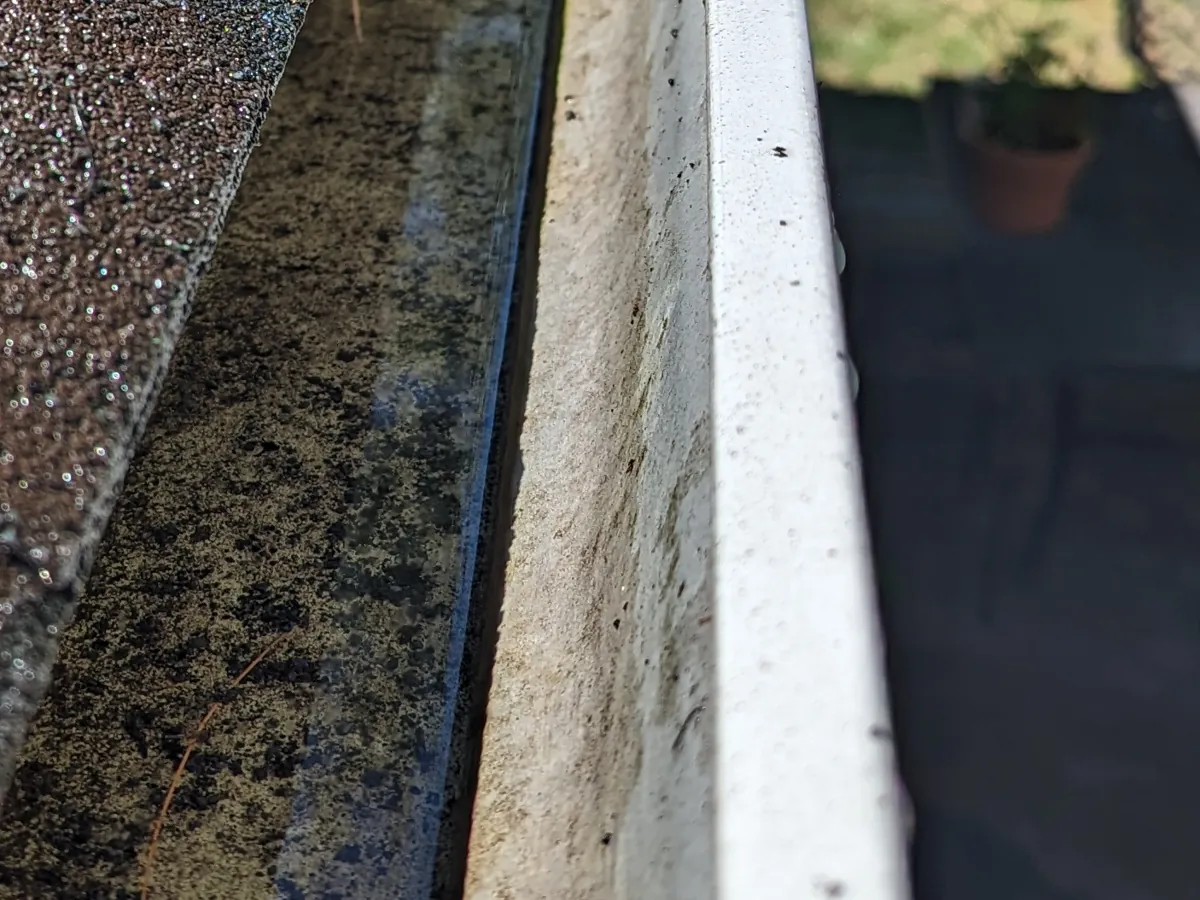 After: Gutter cleaning, August 26, 2025. Pine needles heaped in the gutter, then cleared by hand and flushed until it ran clear.