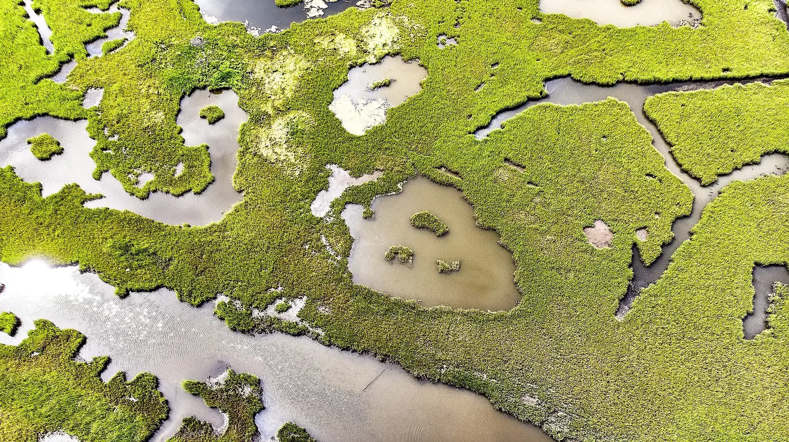 Salt marsh along Barnegat Bay at Forked River, Lacey Township, NJ