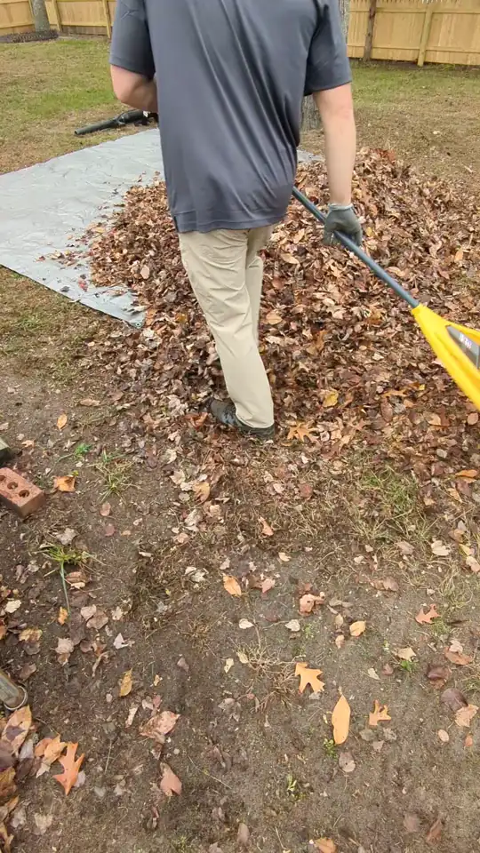 Fall leaf cleanup in Lacey, NJ
